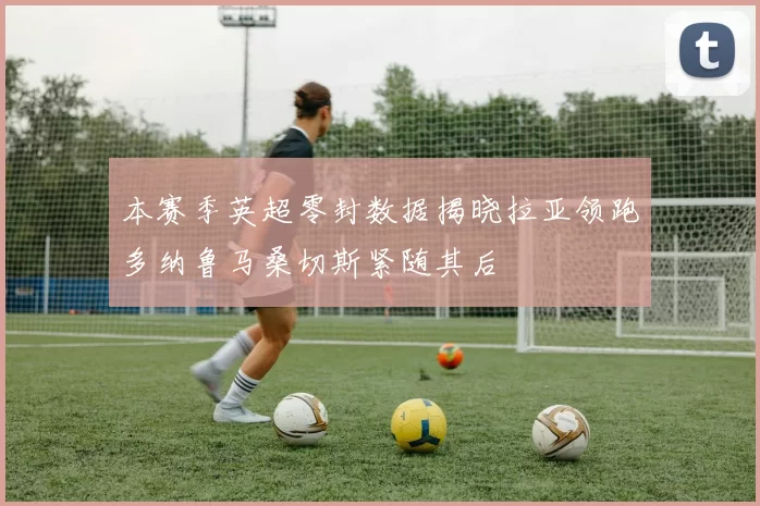 本赛季英超零封数据揭晓拉亚领跑多纳鲁马桑切斯紧随其后